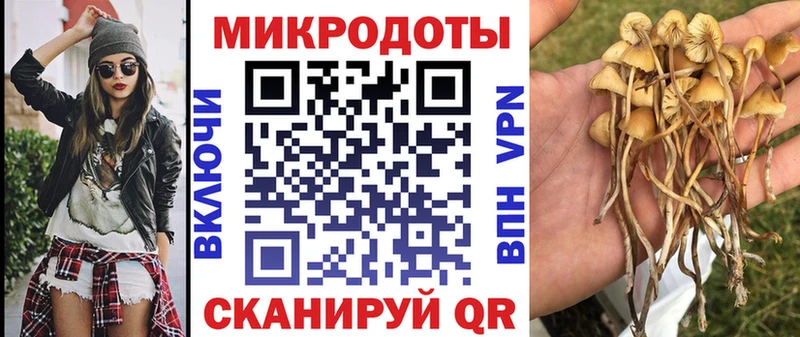 купить наркотик  Кулебаки  Псилоцибиновые грибы MAGIC MUSHROOMS 